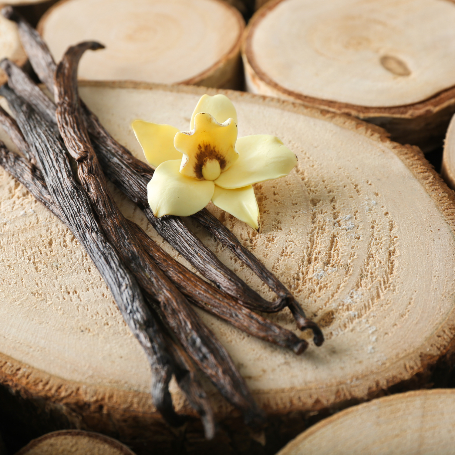 Vanilla (1)